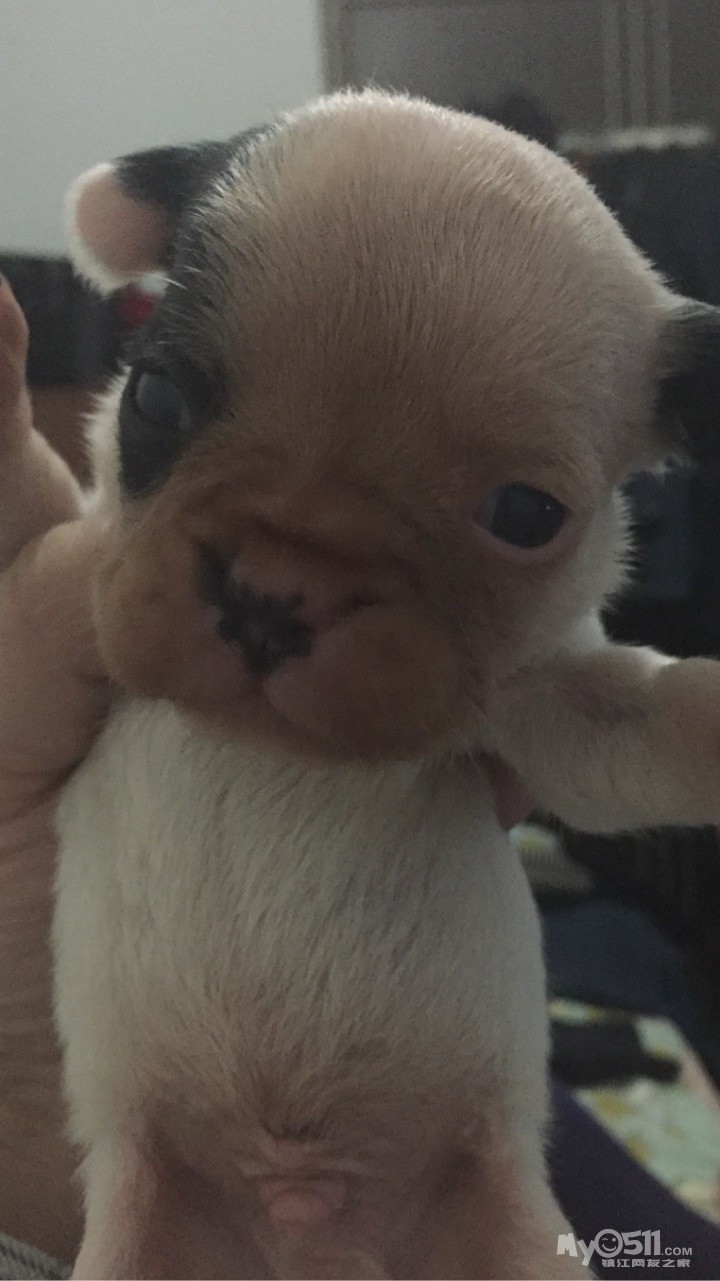 人均gdp多少是发达国家(3)