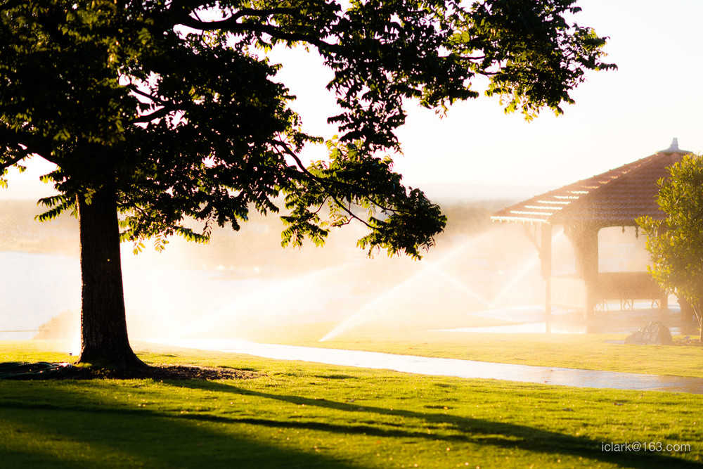 2017-02-08 今天我们来看看珀斯的国王公园 -