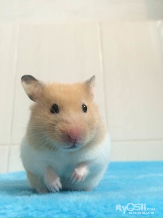 喜闻中金公司招人,符合条件的速度去应聘,打