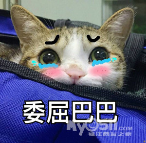 2017高考难度全国排行榜最新出炉!在江苏省考