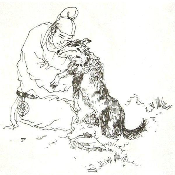 人性!有的岂如狗乎! - 百姓话题 - 梦溪论坛 镇江