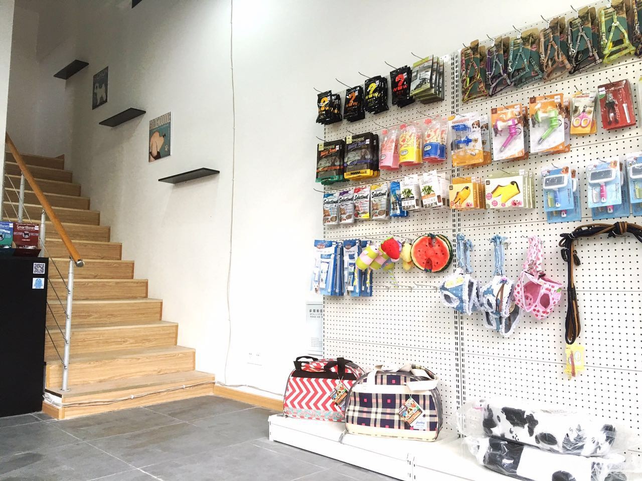 京口区宠物店招聘美容助理 - 镇江招聘 - 梦溪论