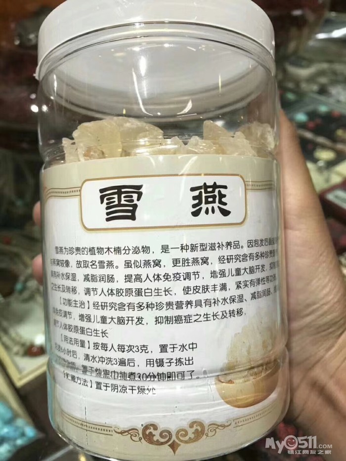 印度雪燕