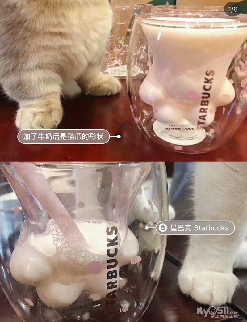 星巴克猫爪杯.388一个,需要的联系.