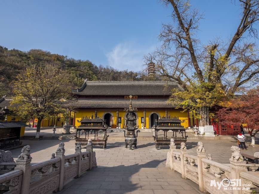 初冬的焦山公园