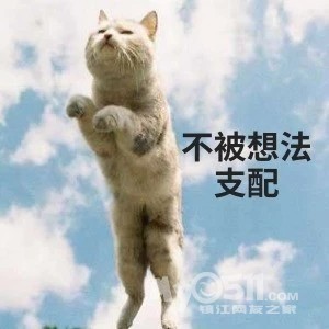 搞笑表情包:禅修使我快乐