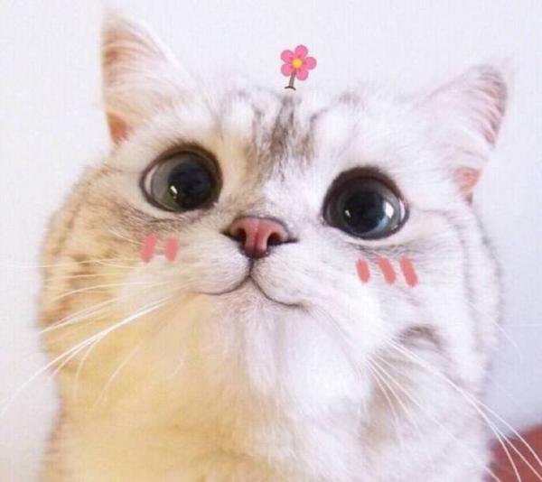 楼上一个小姐姐基本上不知道和对象还是男朋友隔天差五的就吵架