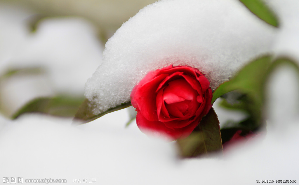 女儿幼儿园要表演踩高跷,有谁会教吗? - 百姓话题 - 梦溪论坛 镇江,时