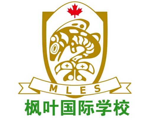 枫叶国际学校logo设计图片