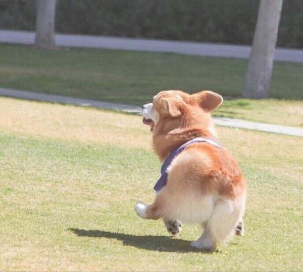 13-15米的鱼竿什么牌子的好.