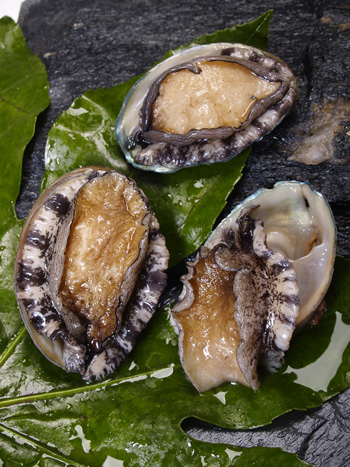 原浆生蚝肉16元/斤,海蜇头15元/斤,金枪鱼净肉80元/斤  鲍鱼被列为海
