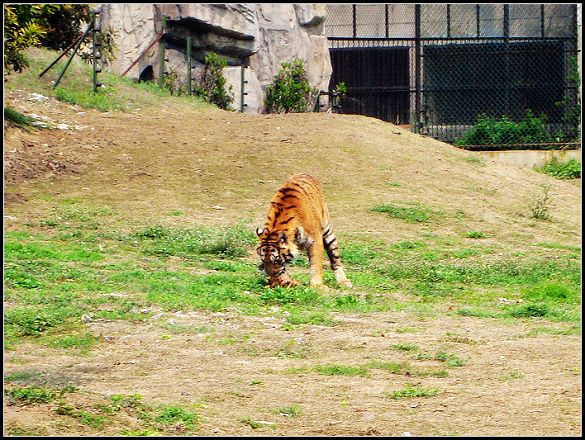 小样,让你跑,我整死你
