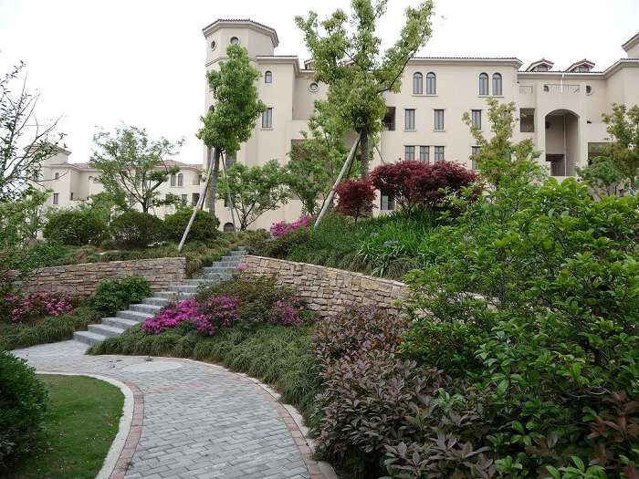 标题: 坡地绿化