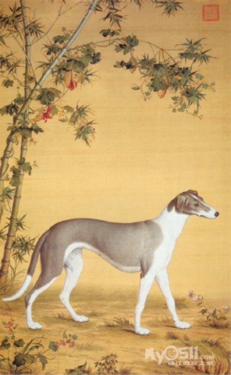 梦溪论坛 猫狗总动员 03 江苏唯一康熙御犬在镇江 韩晓冬先生的细犬