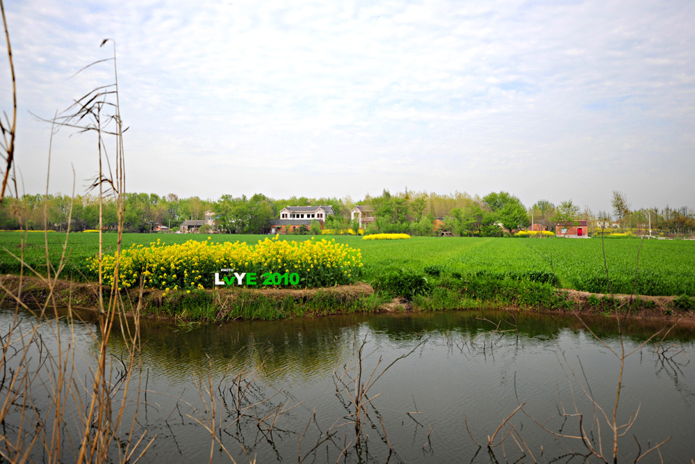 lll 美丽的扬中新坝-----新坝风光摄影作业 lll