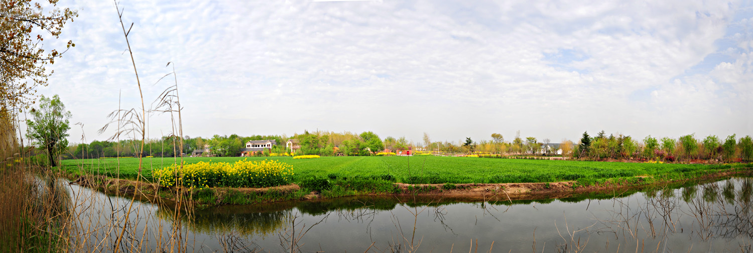 lll 美丽的扬中新坝-----新坝风光摄影作业 lll