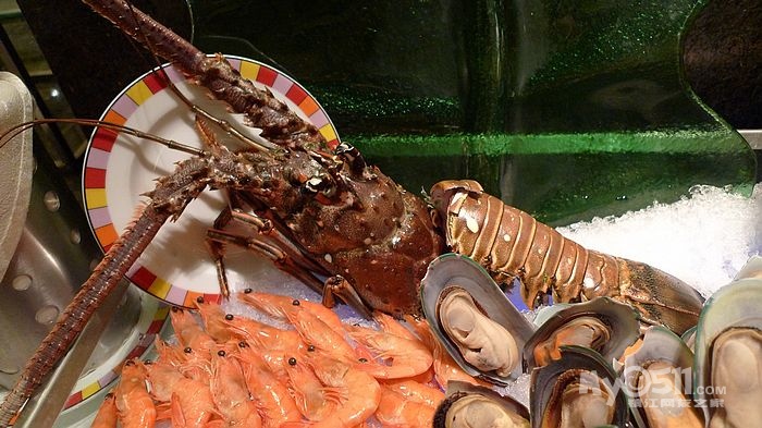 国际饭店1楼怡景咖啡厅自助归来,看到澳龙北蟹羊排了,口水啊