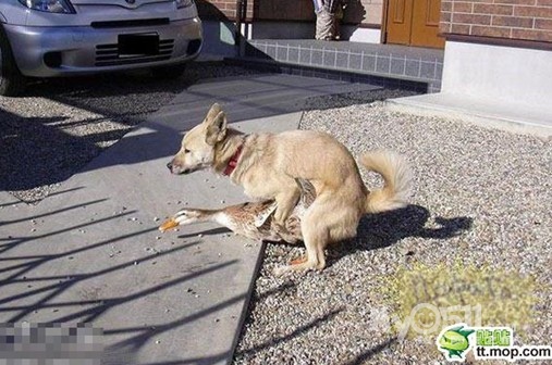 这个世界充满淫乱