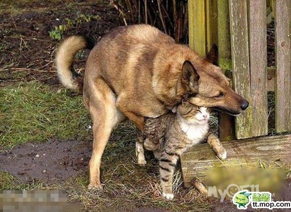 这个世界充满淫乱