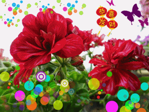 300_225gif 动态图 动图