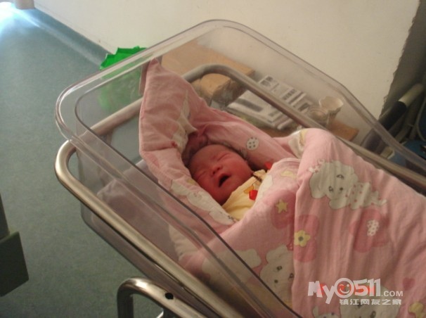 七个月宝宝能吃一个鸡蛋黄了吗 110428163895f85a1c341bb8c4.jpg