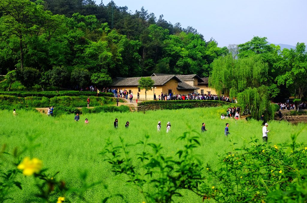 ddddd-35mm的魅力------携富士x100玩转湖湘大地dddd