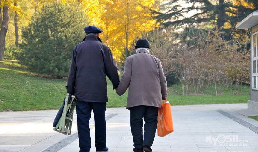 美好的爱情-------------------------------柳树下 - 茶余饭后 - 梦