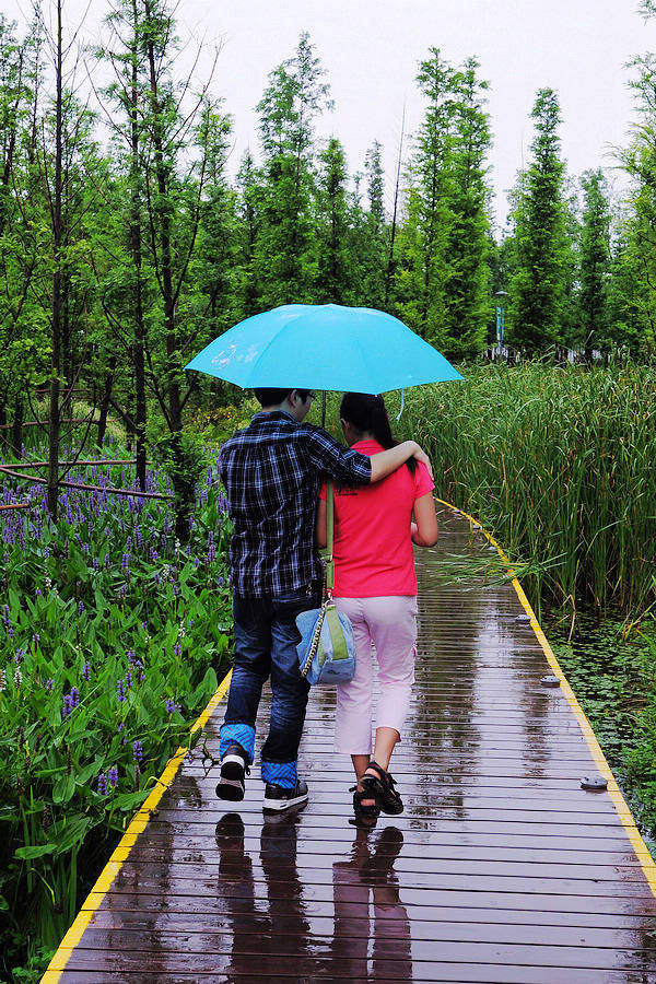 男女情侣雨中打伞图片图片
