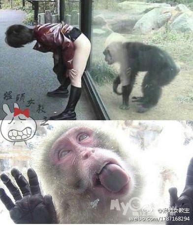 搞笑图集少儿不宜(陆续更新)