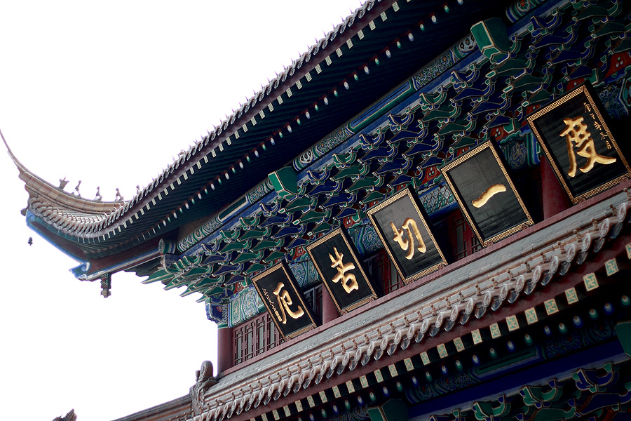 佛眼看金山------度一切苦厄