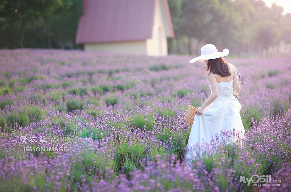 骑行计划:一起去看薰衣草——骑行汤山翠谷 7月1日 来回约 110km 早七