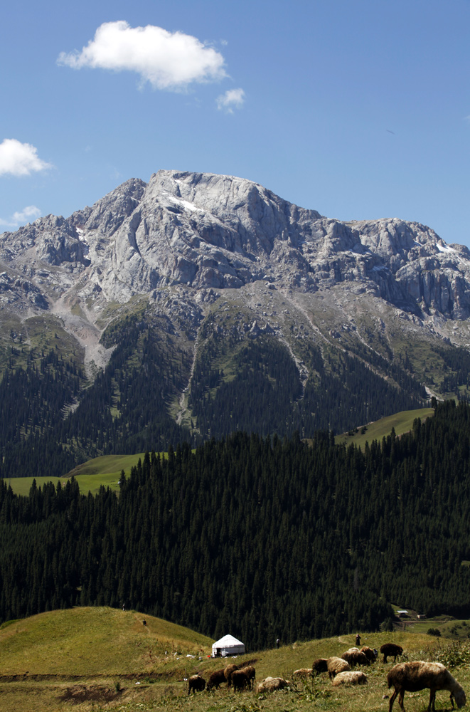 印象伊犁(之三)乌孙山白石峰--