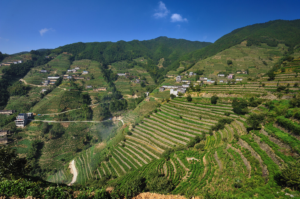 安徽歙县——蜈蚣岭印象