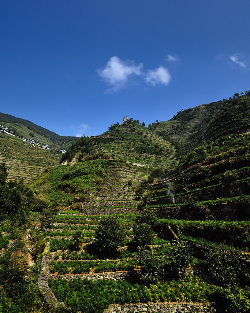 安徽歙县——蜈蚣岭印象