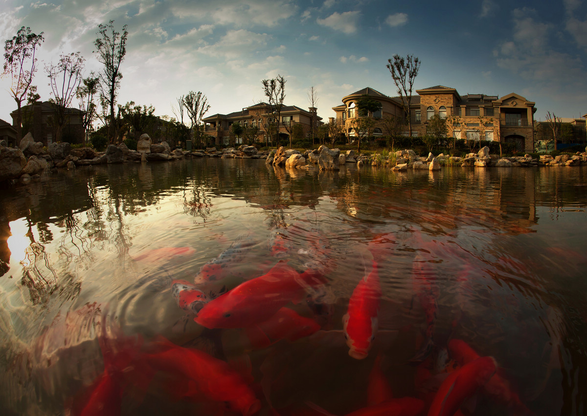 景湖印象-投稿-景湖家园