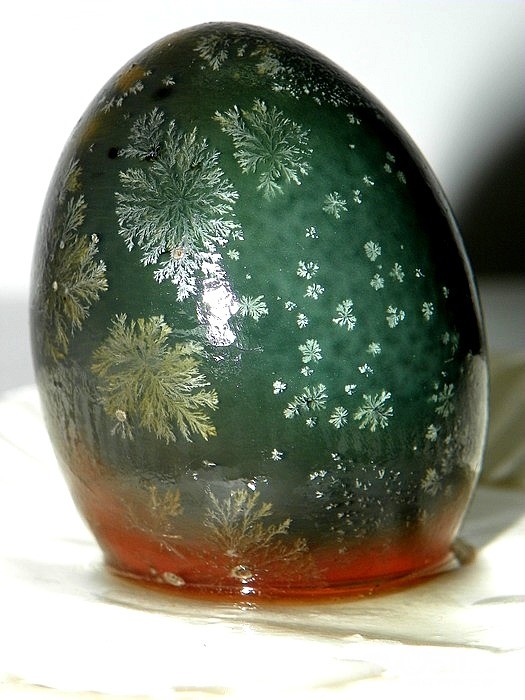 雪花飞——"蛋" - 人到中年 - 梦溪论坛 镇江,时事,招聘,求职,社区,房