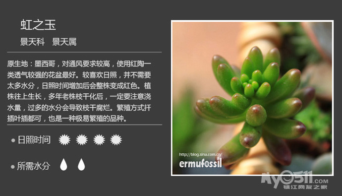 镇江天竺花友群义卖贴(3)(萝卜花,缤纷衣橱请尽快去红英店取)