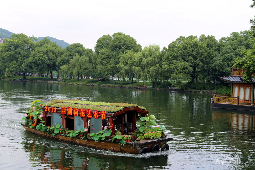 2013杭洲西湖荷花艺术节开始啦