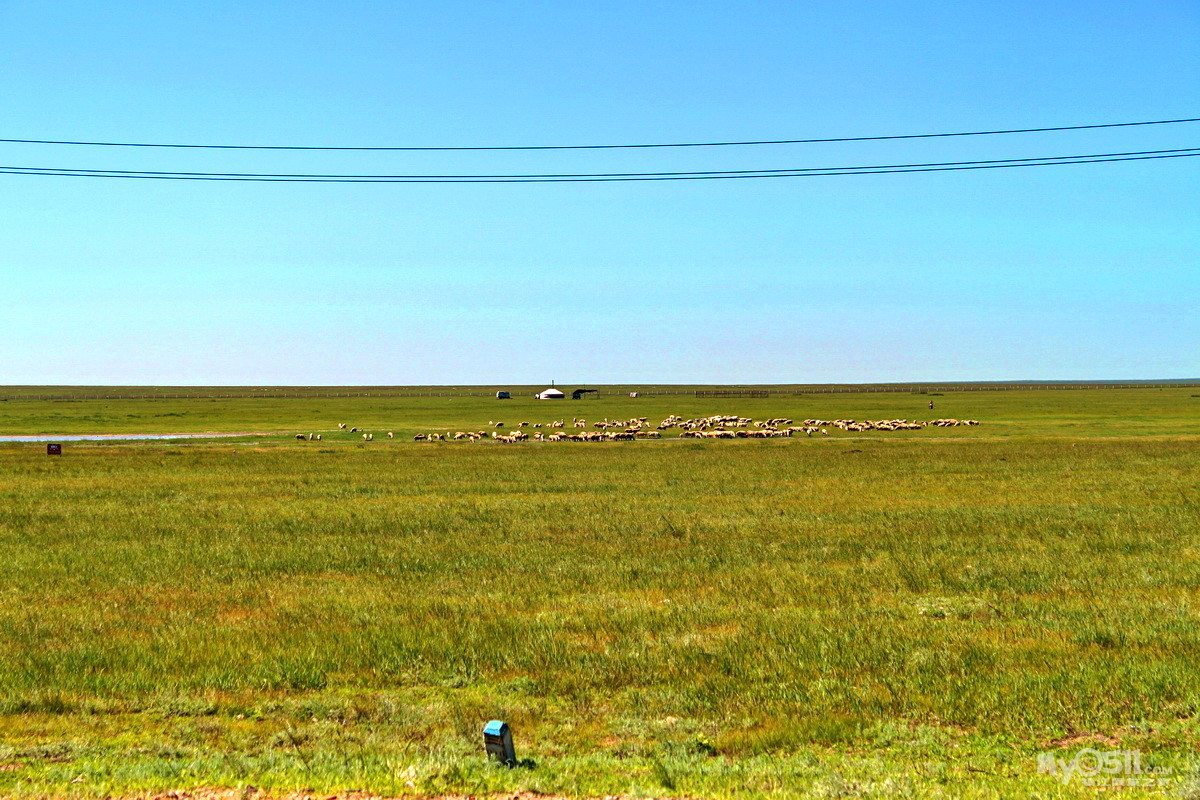 我方牧民在中蒙边境线边上放牧.
