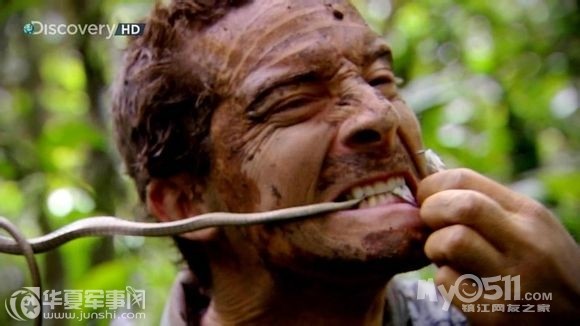 吃货们速来膜拜站在食物链顶端的男人——贝爷(重口味慎入)