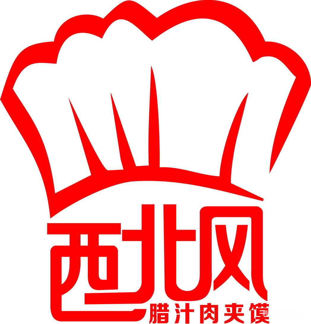 西北风腊汁肉夹馍和大家见面了(上传大量现场烤馍照片,详见74楼.