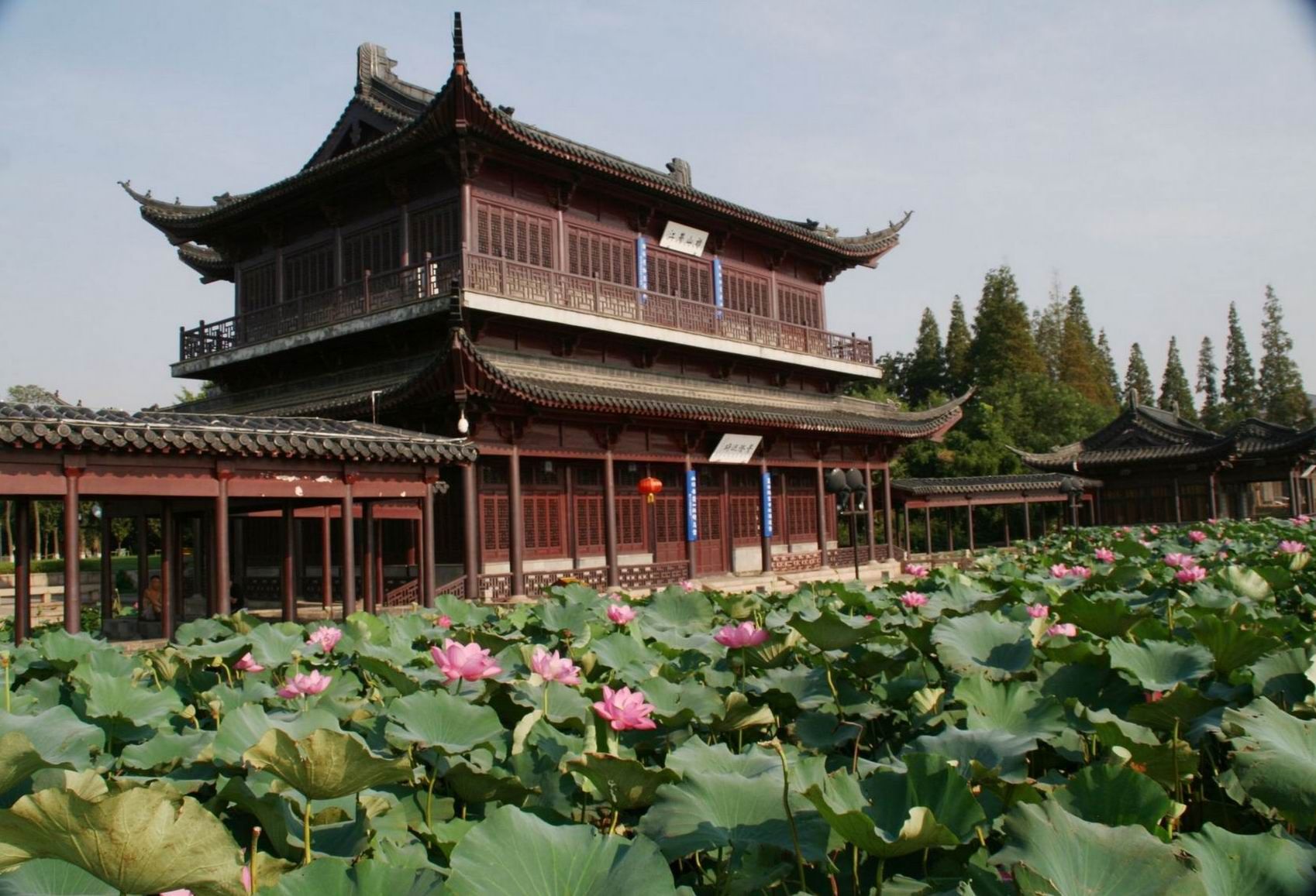 芙蓉楼荷花两帖 - 视觉coffeeshop摄影部落 - 梦溪论坛 镇江,时事,招