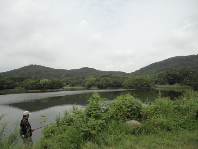 在八公洞附近的那个原来烧烤的地方,烧烤是取缔了,貌似风光也被鹊缔