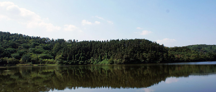 傳說在南山湖的群山中,住著一條鯉魚精,一年村上大旱,無水澆灌農田