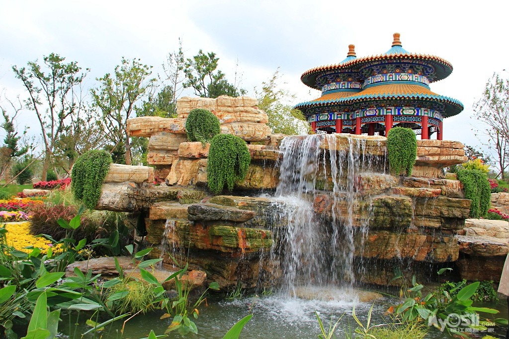 常州花博园随拍