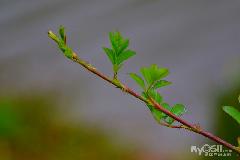 13112510266eb43f64e08f0bcd.jpg