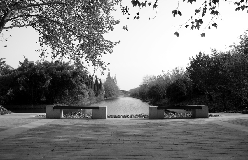 亭皋木叶下 陇首秋歌飞