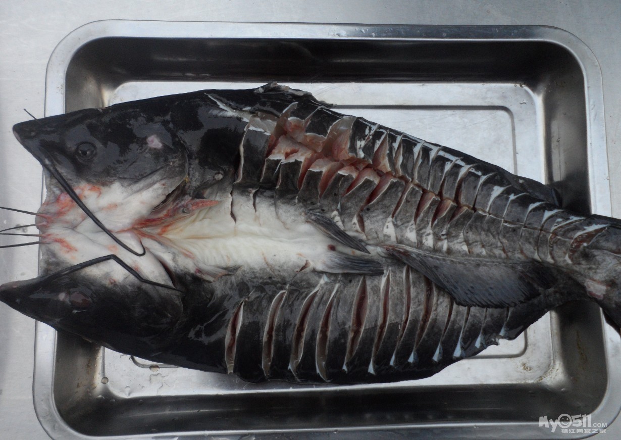 《贵阳留一手特色烤鱼》不多说了上图