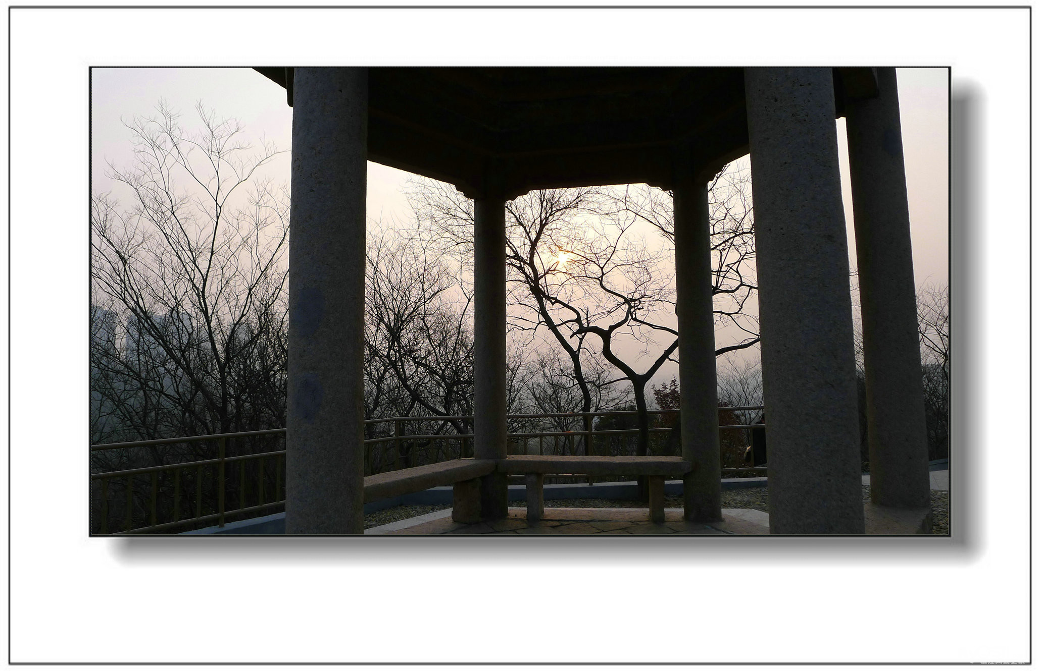 市区的山—— 黄鹤山(71楼更新)