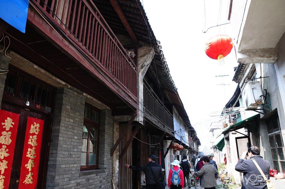 赏菜花,寻老街,知青网友宝堰行 - 镇江知青 - 梦溪论坛 镇江,时事